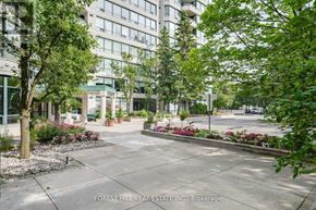 Vaughan (Brownridge) condo for rent - A courtyard with a lot of greenery and a building in the background.