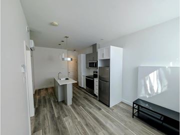 Gatineau (Aylmer) condo for rent - A kitchen with a sink and a refrigerator.