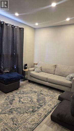 Hamilton (Ainslie Wood) condo for rent - A living room with a grey sofa and a patterned rug.