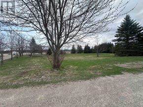 Melancthon apartment for rent - A leafless tree stands in a grassy field.