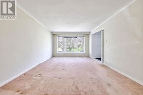 Toronto (St. Andrew-Windfields) apartment for rent - A room with a carpeted floor and a window with a view of trees.