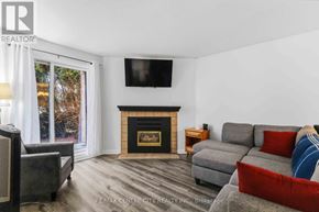 London East (East L) condo for rent - A living room with a fireplace and a grey couch.