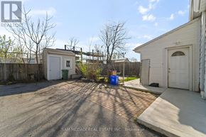 Hamilton (Industrial Sector) apartment for rent - A backyard with a shed, a tree, and a fence.