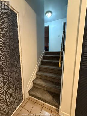 Windsor apartment for rent - A staircase with a carpeted runner and a yellow handrail.