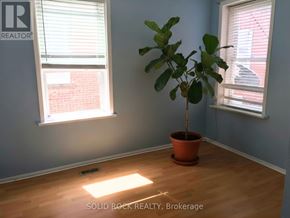 Arnprior apartment for rent - A room with a plant in a pot and a window with blinds.