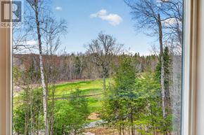 Huntsville (Chaffey) apartment for rent - A view from a window looking out at a forest.