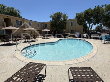 Lemon Grove apartment for rent - A swimming pool surrounded by lounge chairs and umbrellas in a sunny outdoor setting.