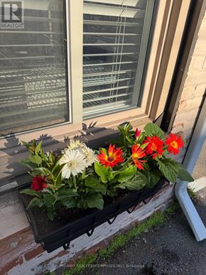 Hamilton (Durand) apartment for rent - A window sill with a planter box full of flowers.