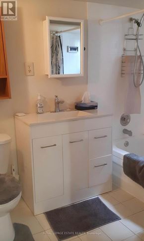 Toronto (East End-Danforth) apartment for rent - A white bathroom with a toilet, sink, and mirror.