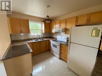 Toronto (Mount Olive-Silverstone-Jamestown) apartment for rent - A kitchen with a white fridge, brown cabinets, and a window.