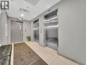 Waterloo condo for rent - A hallway with two elevators and a plant on the left.