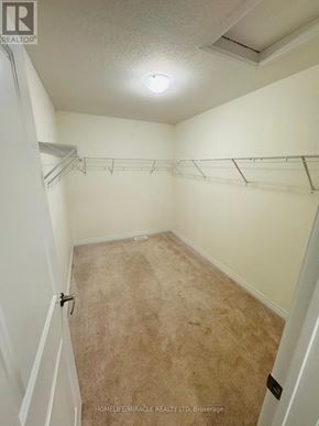 Wellington North (Arthur) apartment for rent - A small, empty room with a carpeted floor and a couple of shelves.