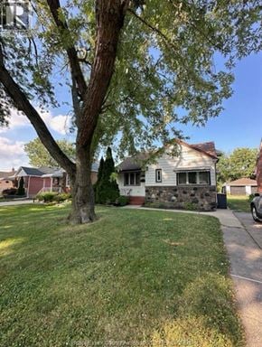 Windsor apartment for rent - A house with a tree in front of it.