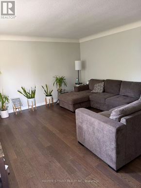 St. Catharines (E. Chester) apartment for rent - A living room with a grey couch and a wooden floor.