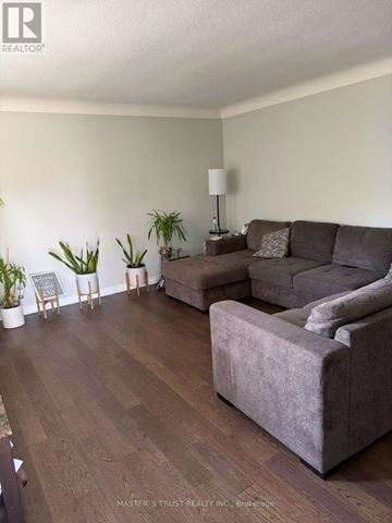 St. Catharines (E. Chester) apartment for rent - A living room with a grey couch and a wooden floor.