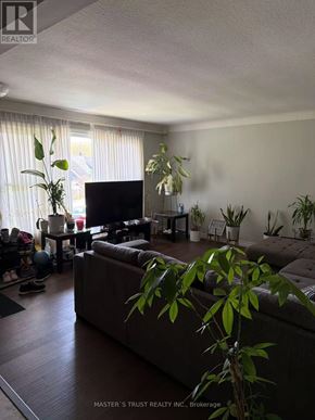 St. Catharines (E. Chester) apartment for rent - A living room with a couch, a television, and a potted plant.