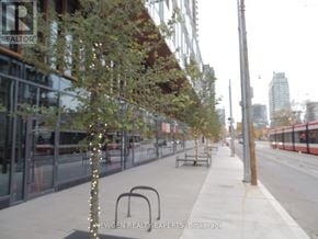Toronto (Regent Park) condo for rent - A tree with lights on it is in the middle of a sidewalk.