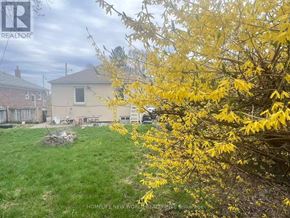 Toronto (Wexford-Maryvale) apartment for rent - A yellow flowering tree in front of a house.