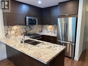 Burnaby apartment for rent - A kitchen with a granite countertop and stainless steel appliances.