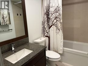 Burnaby apartment for rent - A bathroom with a sink, toilet, and a shower curtain with a tree design.