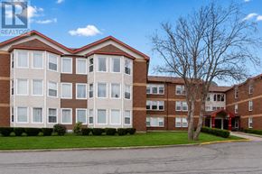 St. John's house for rent - A large apartment complex with a tree in front.