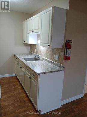 Niagara Falls (Downtown) fourplex for rent - A kitchen with a marble countertop and wooden cabinets.