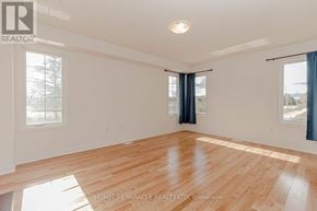 Southgate apartment for rent - A room with wooden flooring and two windows with blue curtains.