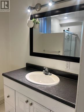 Hamilton (Winona Park) apartment for rent - A bathroom sink with a mirror above it.