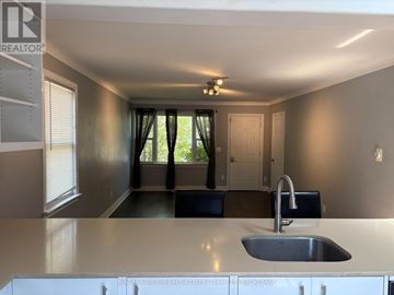 Niagara-On-The-Lake (Virgil) apartment for rent - A kitchen with a sink and a window with curtains.