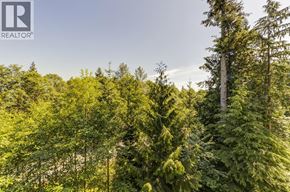 Burnaby apartment for rent - A forest of green trees under a blue sky.
