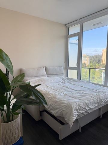 Burnaby apartment for rent - A bedroom with a large bed and a potted plant.