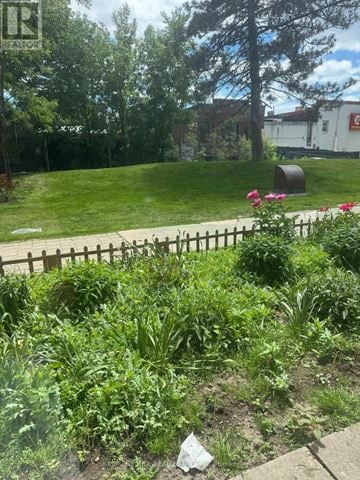 Toronto (Oakwood Village) house for rent - 902 - 161 OAKWOOD AVENUE 902