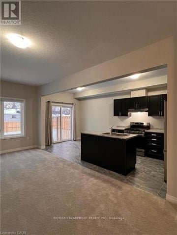 Brantford townhouse for rent - A well-lit kitchen with black cabinets and a countertop.