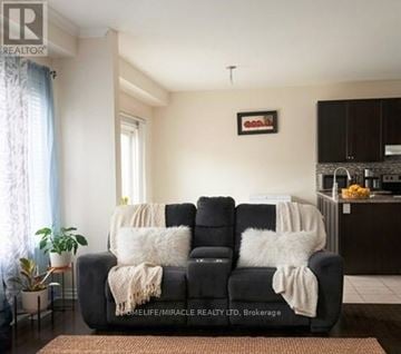 Brampton (Bram East) apartment for rent - A living room with a black couch and a plant on the side table.