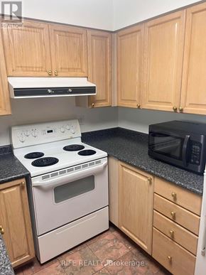 Toronto (Bay Street Corridor) condo for rent - A kitchen with wooden cabinets and a black countertop.