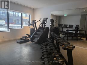 Toronto (Rouge) condo for rent - A gym room with treadmills, elliptical machines, and dumbbells.