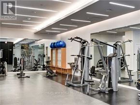 Toronto (Mount Pleasant West) condo for rent - A gym with a variety of equipment including treadmills, weights, and exercise machines.