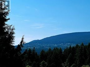 North Vancouver apartment for rent - A forest of trees with a mountain in the background.