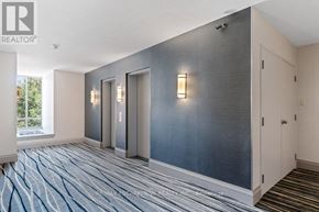 Burlington (Brant) condo for rent - A hallway with a carpeted floor and a wall with a row of lights on it.