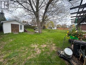 Guelph (Victoria North) apartment for rent - A backyard with a shed, a tree, and a lawn.