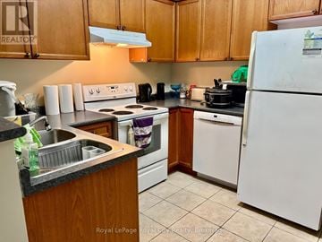 Guelph (Grange Road) condo for rent - A kitchen with a white refrigerator, sink, and stove.