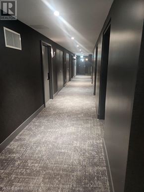 Toronto (Church-Yonge Corridor) condo for rent - A long hallway with carpeted floors and doors on both sides.
