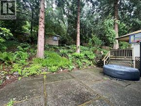West Vancouver apartment for rent - A backyard with a tire swing and a basketball hoop.