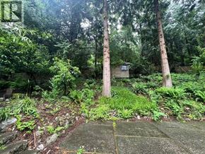 West Vancouver apartment for rent - A small wooden structure sits in the middle of a forest clearing.