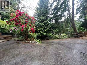 West Vancouver apartment for rent - A wet driveway leads to a house with a large bush of red flowers.