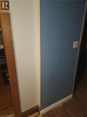 Hamilton apartment for rent - A blue wall with a white switchboard.