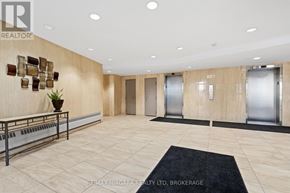 St. Catharines (Glendale/Glenridge) condo for rent - A hallway with a black carpet and a plant on a table.