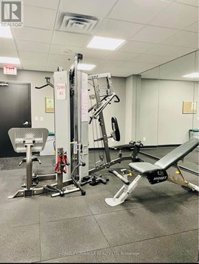 Toronto (South Parkdale) condo for rent - A gym room with a weight bench and a squat rack.