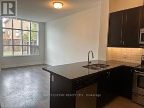 Vaughan (Maple) condo for rent - A kitchen with black cabinets and a stainless steel sink.