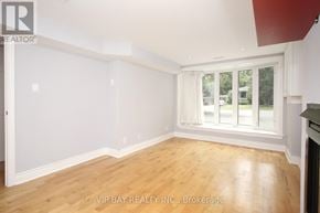 Toronto (Willowdale West) apartment for rent - A room with a fireplace and a window overlooking a green area.